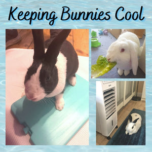 Keeping Bunnies Cool
