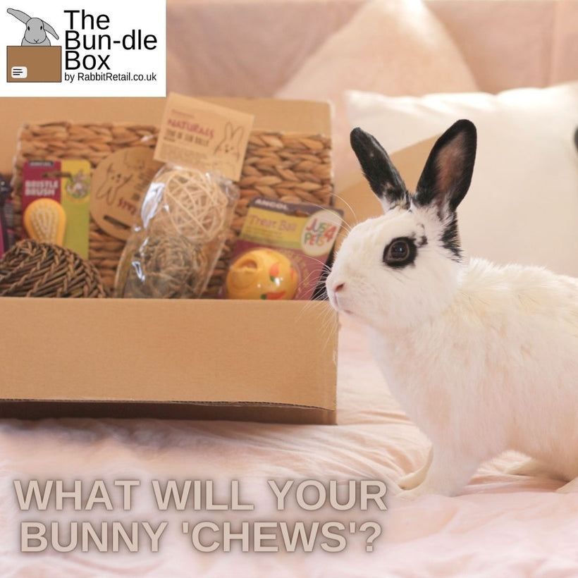 Rabbit Retail | The one hop shop for you and your bunny