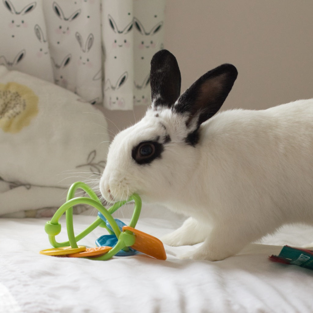 Toys – Rabbit Retail