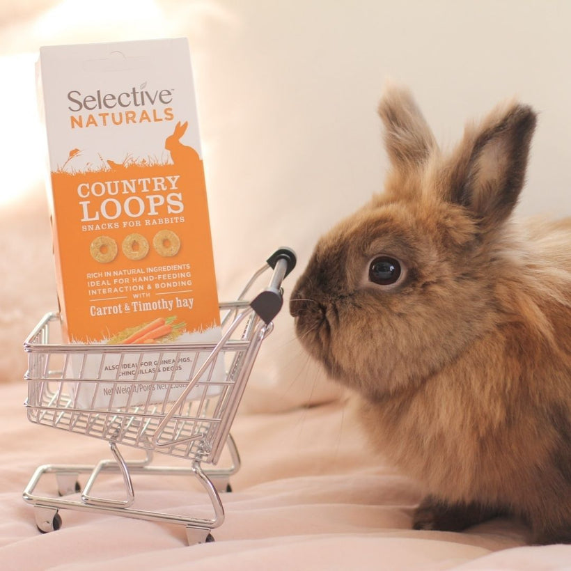 Rabbit Retail | The one hop shop for you and your bunny