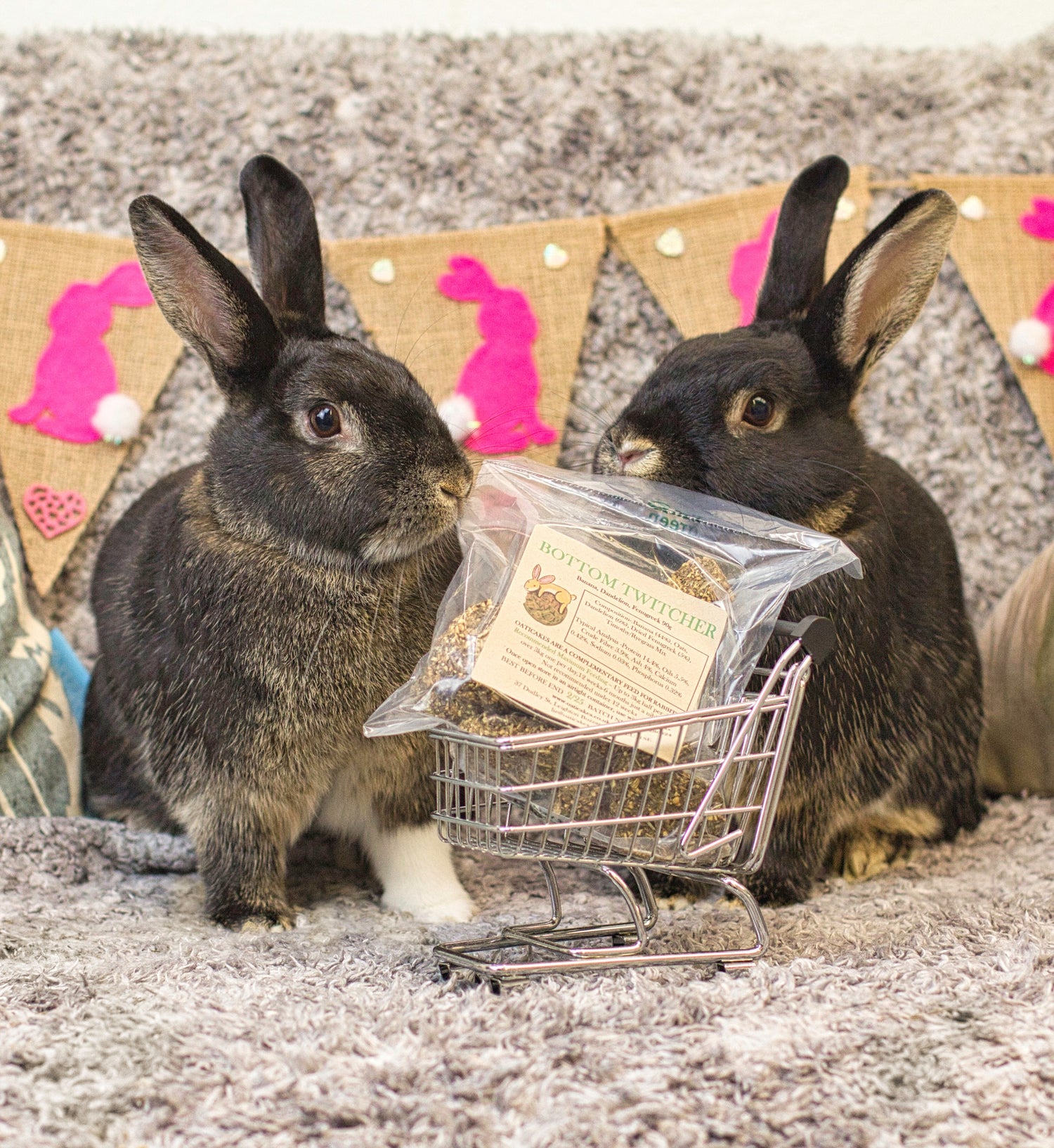 Oaticakes for Rabbits