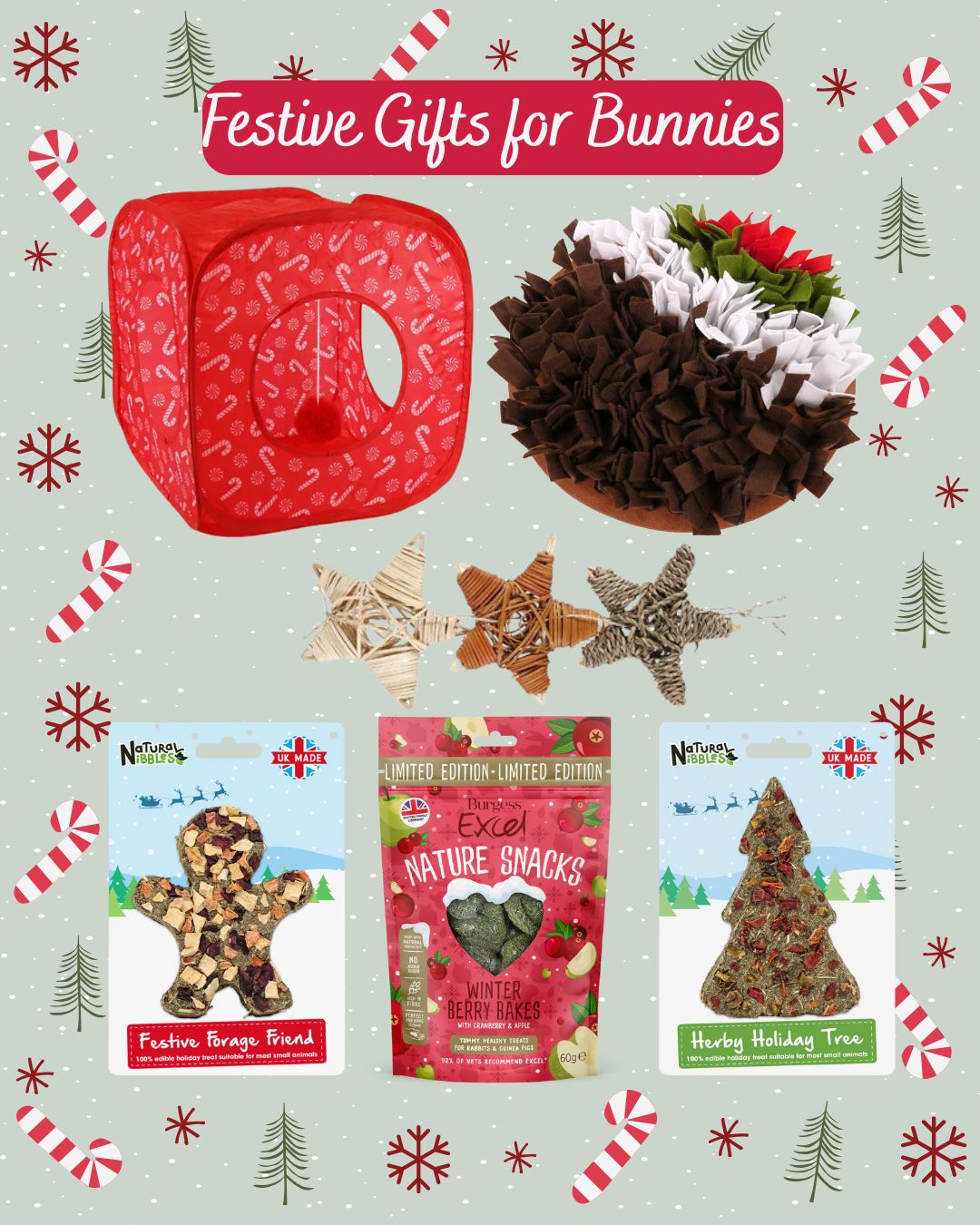 Bunny Christmas Gifts