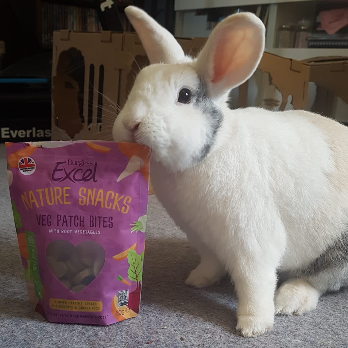 White rabbit standing next to a bag of Excel Nature Snacks on a carpeted floor.