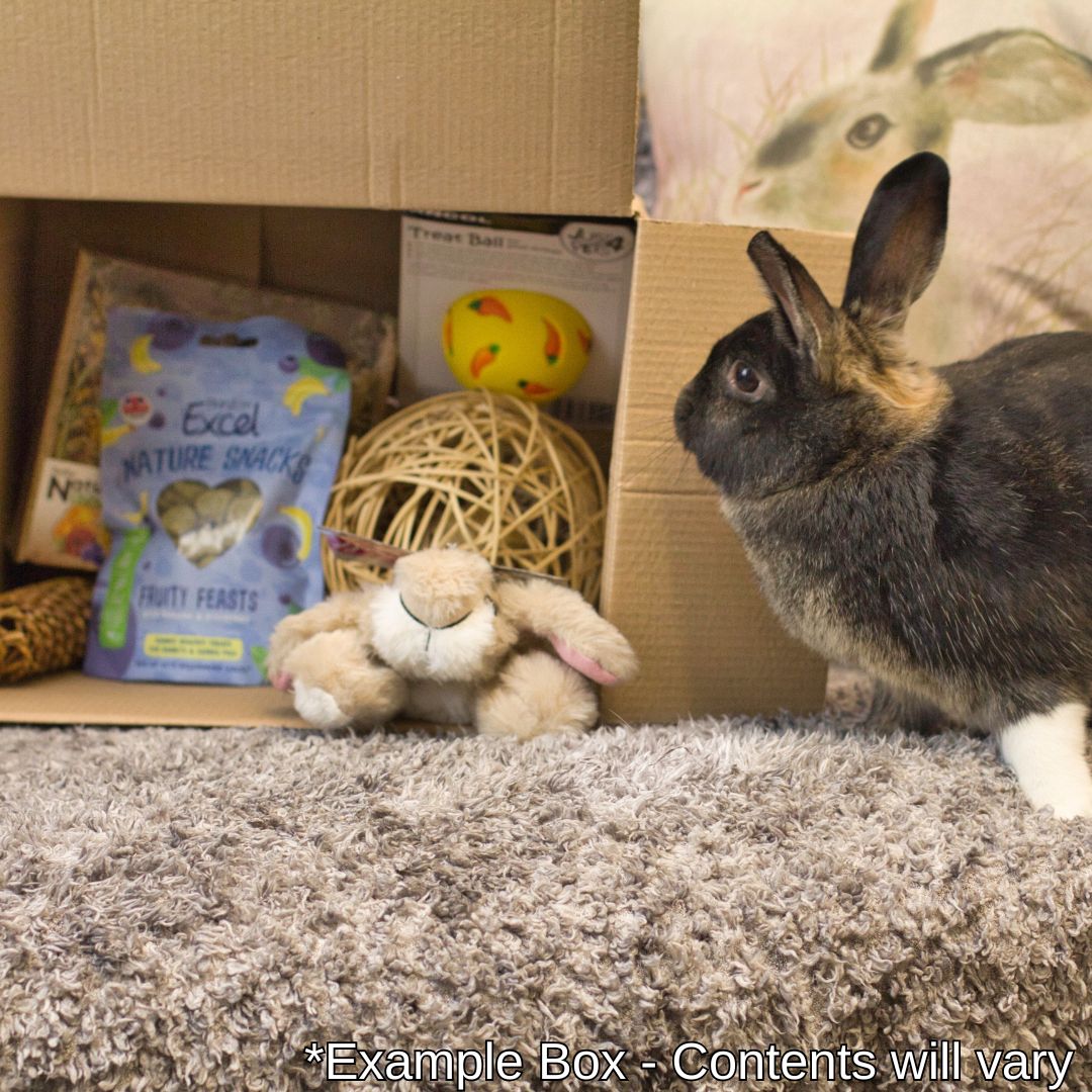 The Monthly Bun-dle Box