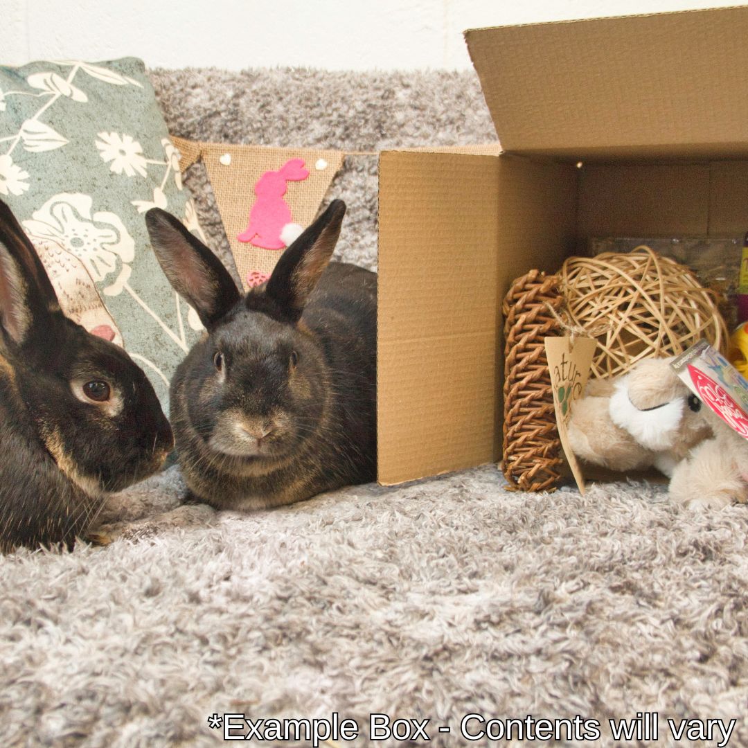 The Monthly Bun-dle Box