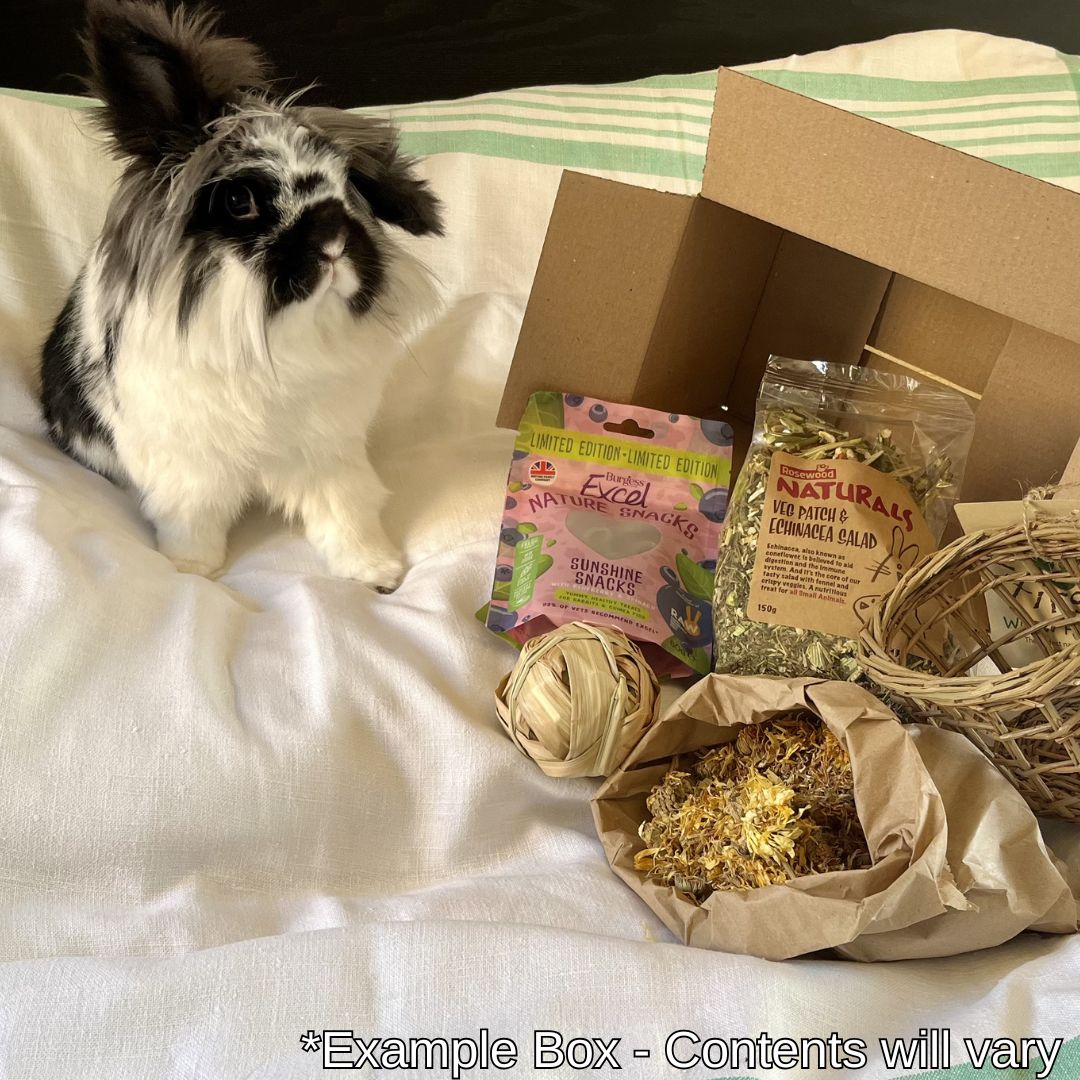 The Monthly Bun-dle Box