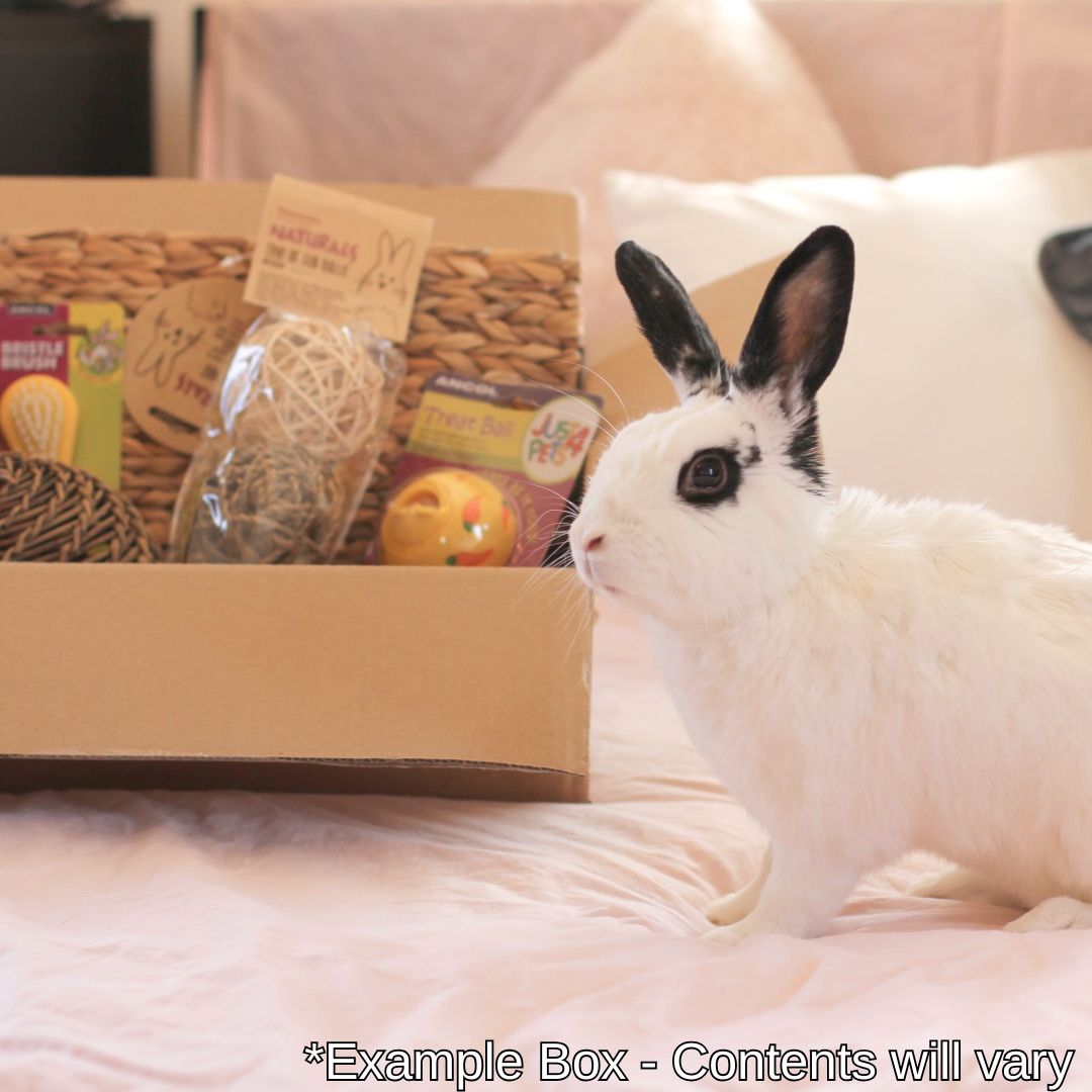 The Monthly Bun-dle Box