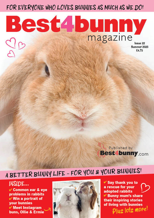 Best4bunny Magazine | Summer '25 | Issue 22