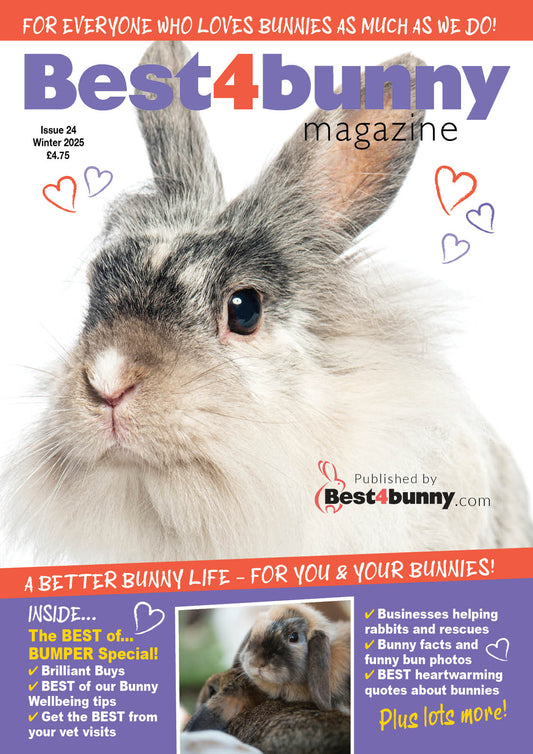 Best4bunny Magazine | Winter '25 | Issue 24