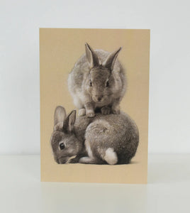 Bunny Mountain Card