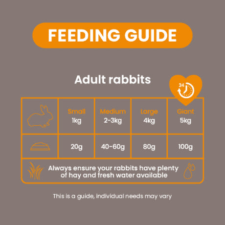 Excel Indoor Rabbit Food