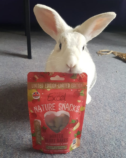Waffle, a white and light tan dutch rabbit, stands behind a red 'Excel nature snacks' looking at the photographer to open the pack and feed him.