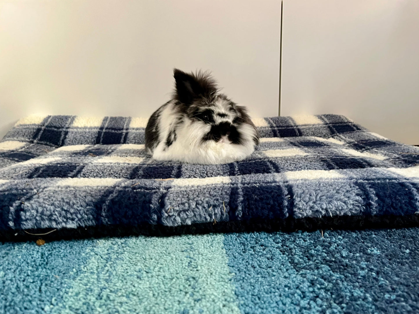 Snug'Em | Ultra-Soft Pet Fleece Mat | Checked Pattern