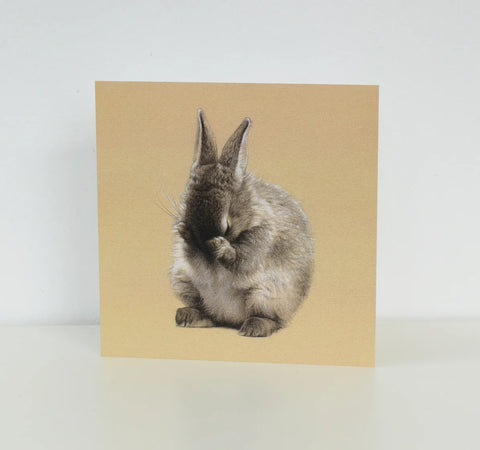 Bashful Bunny Card