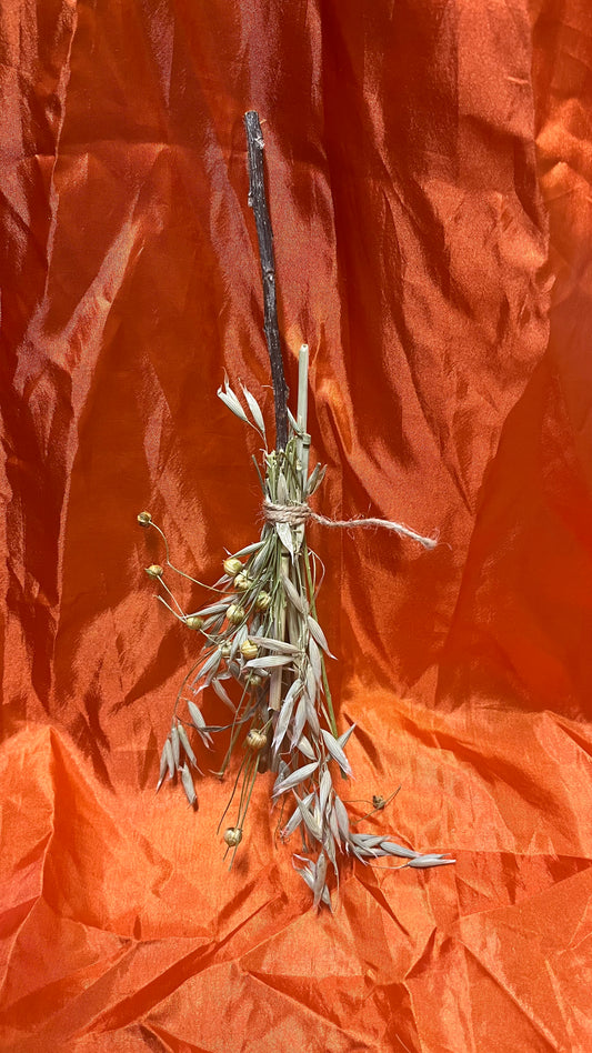 Edible Broomstick | Chew Toys
