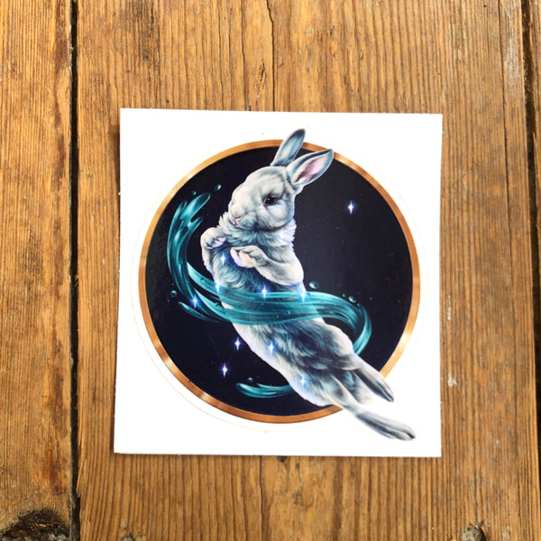 Zodiac Vinyl Sticker