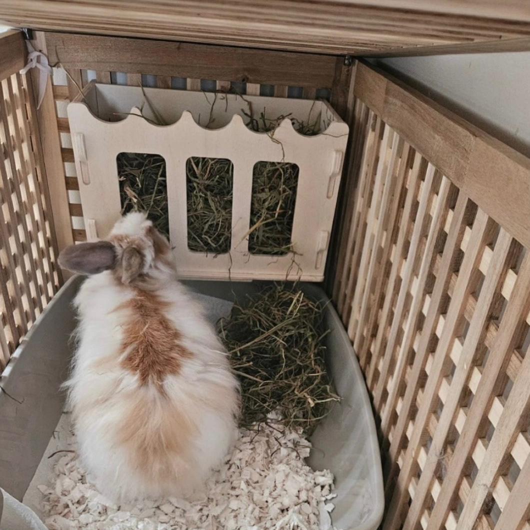 Hay Rack | Wooden Rabbit Hay Rack