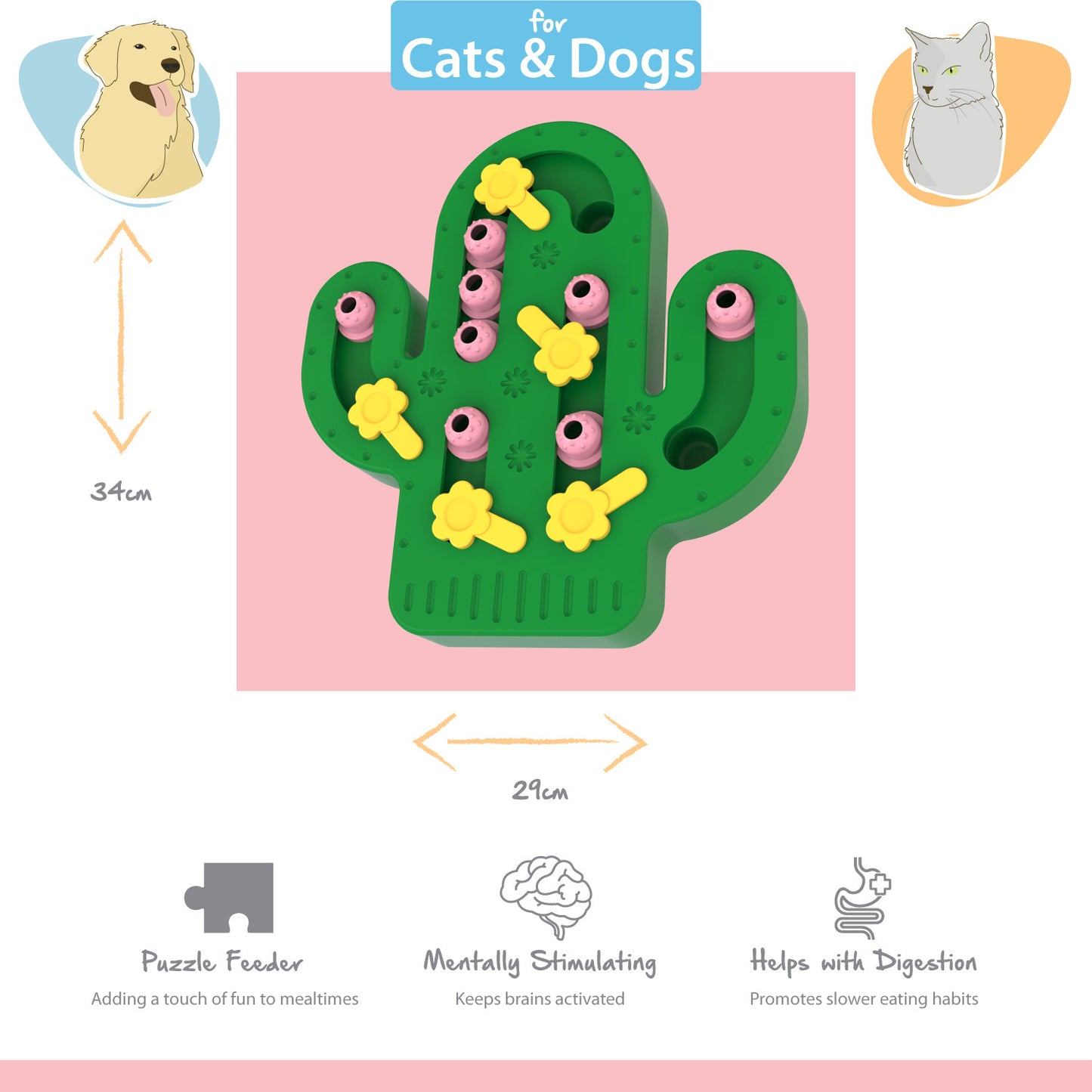 Cactus Puzzle Feeder | Pet Toy