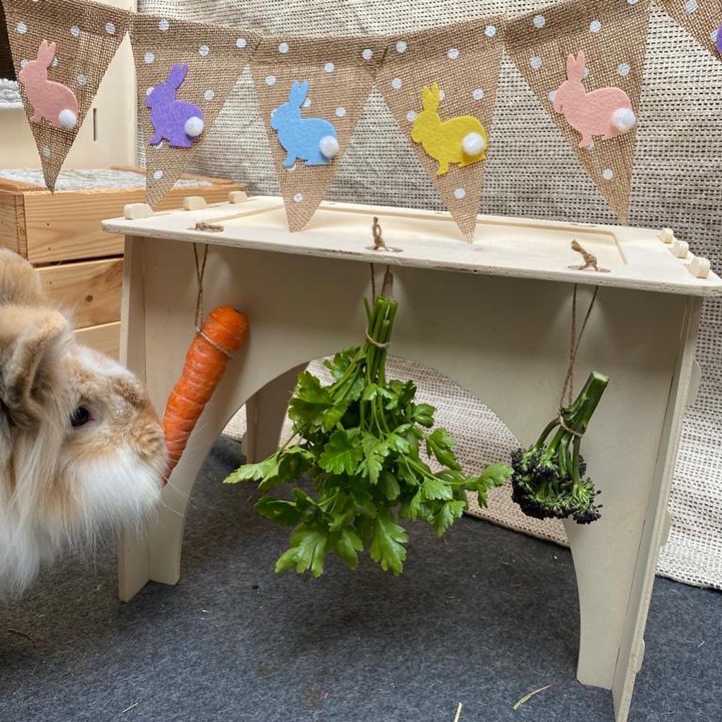 Play Table | Wooden Rabbit Castle