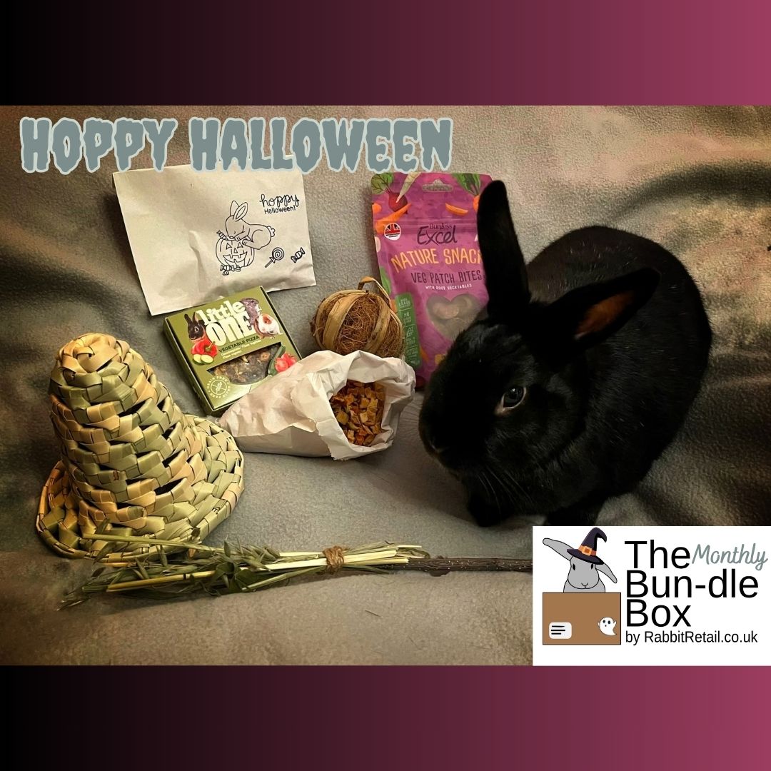 Hoppy Halloween Special | The Monthly Bun-dle Box