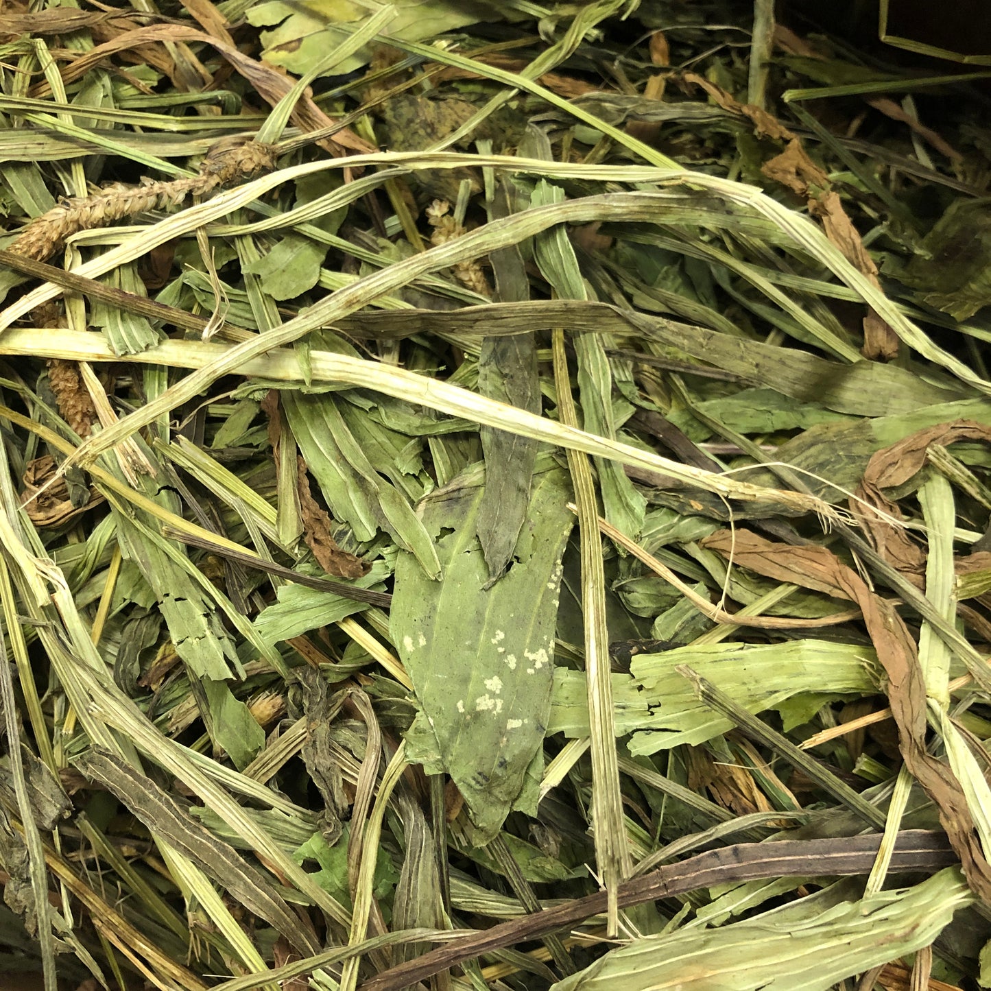 Dried Plantain