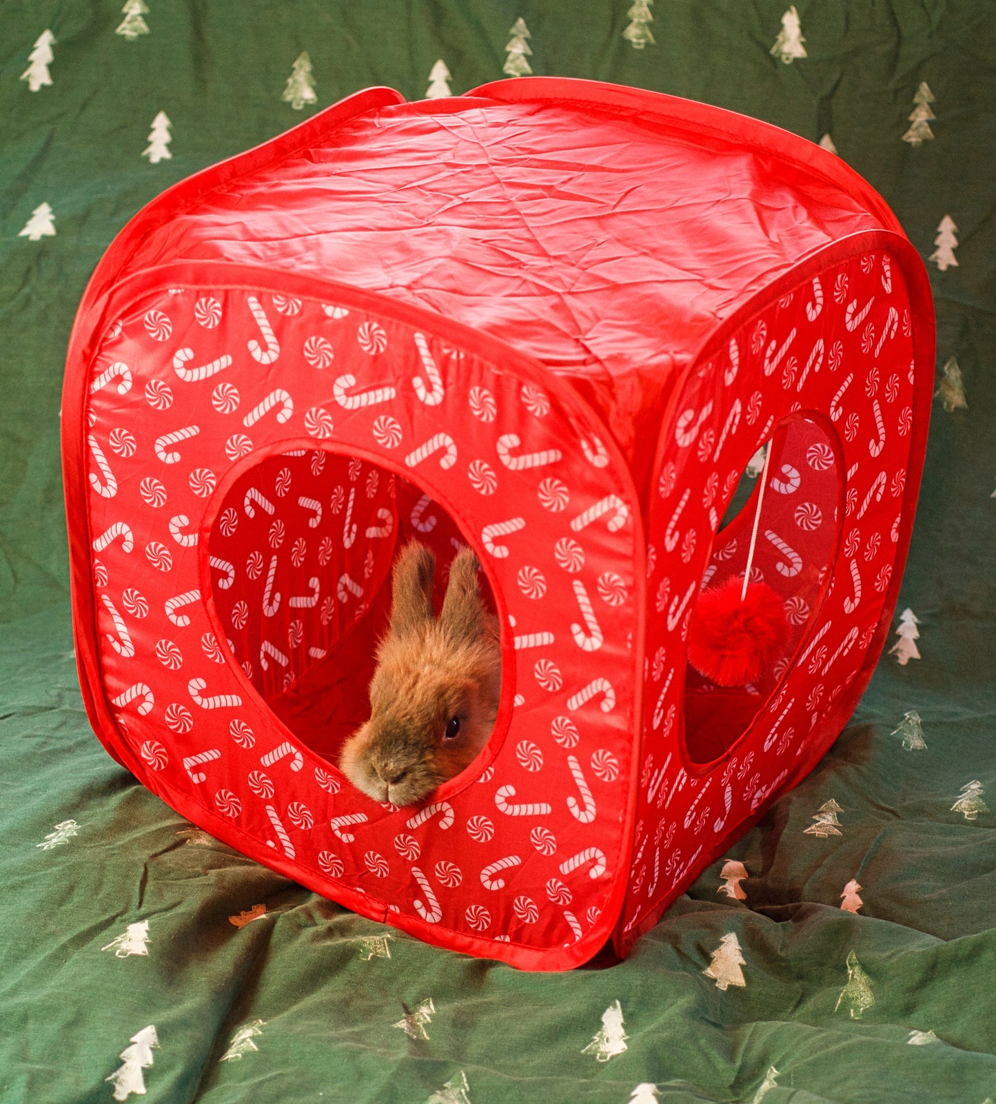 Pop Up Candy Cane Cube | Hideaway Toy