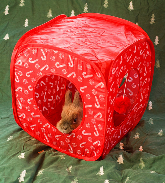 Pop Up Candy Cane Cube | Hideaway Toy