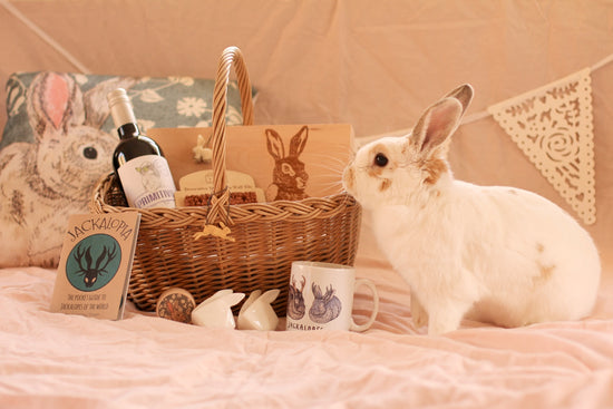 Rabbit Retail | The one hop shop for you and your bunny