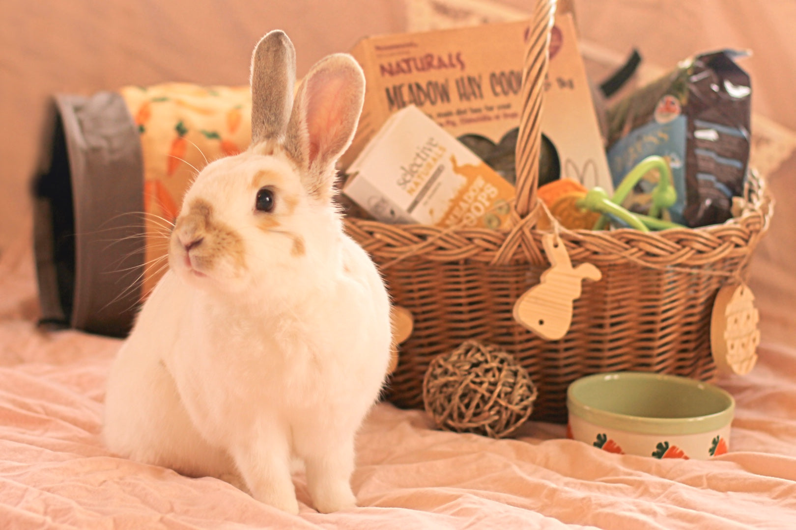 Rabbit Retail The one hop shop for you and your bunny