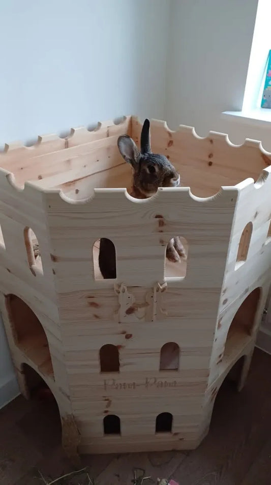 Pine Bunny Corner Castle | One, Two, three Story