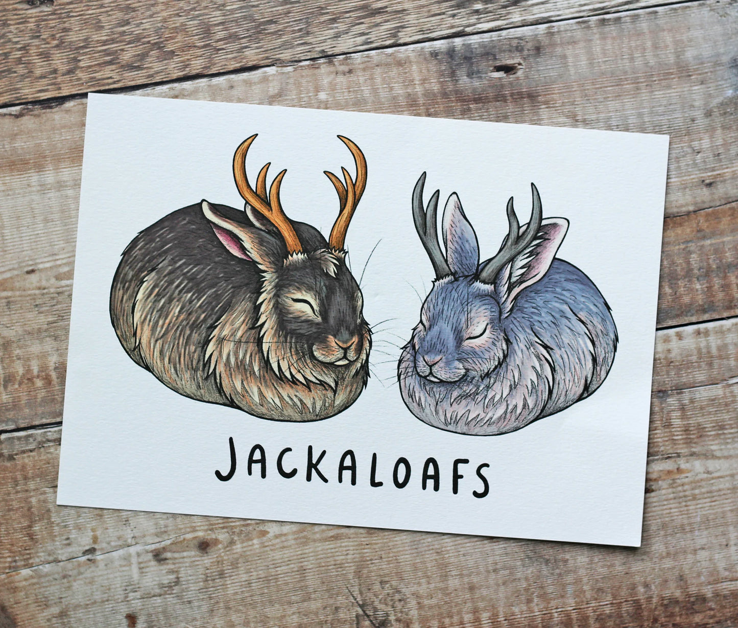 Jackaloafs | A4 Artprint