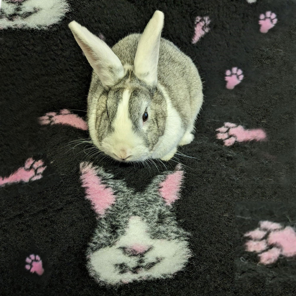 Profleece Bedding | Dutch Bunnies