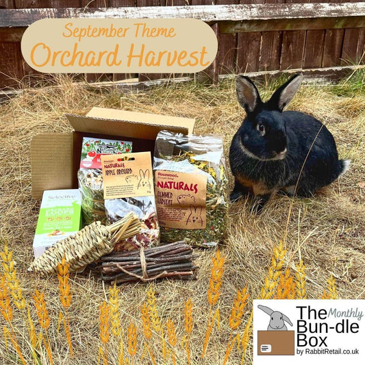 The Monthly Bun-dle Box