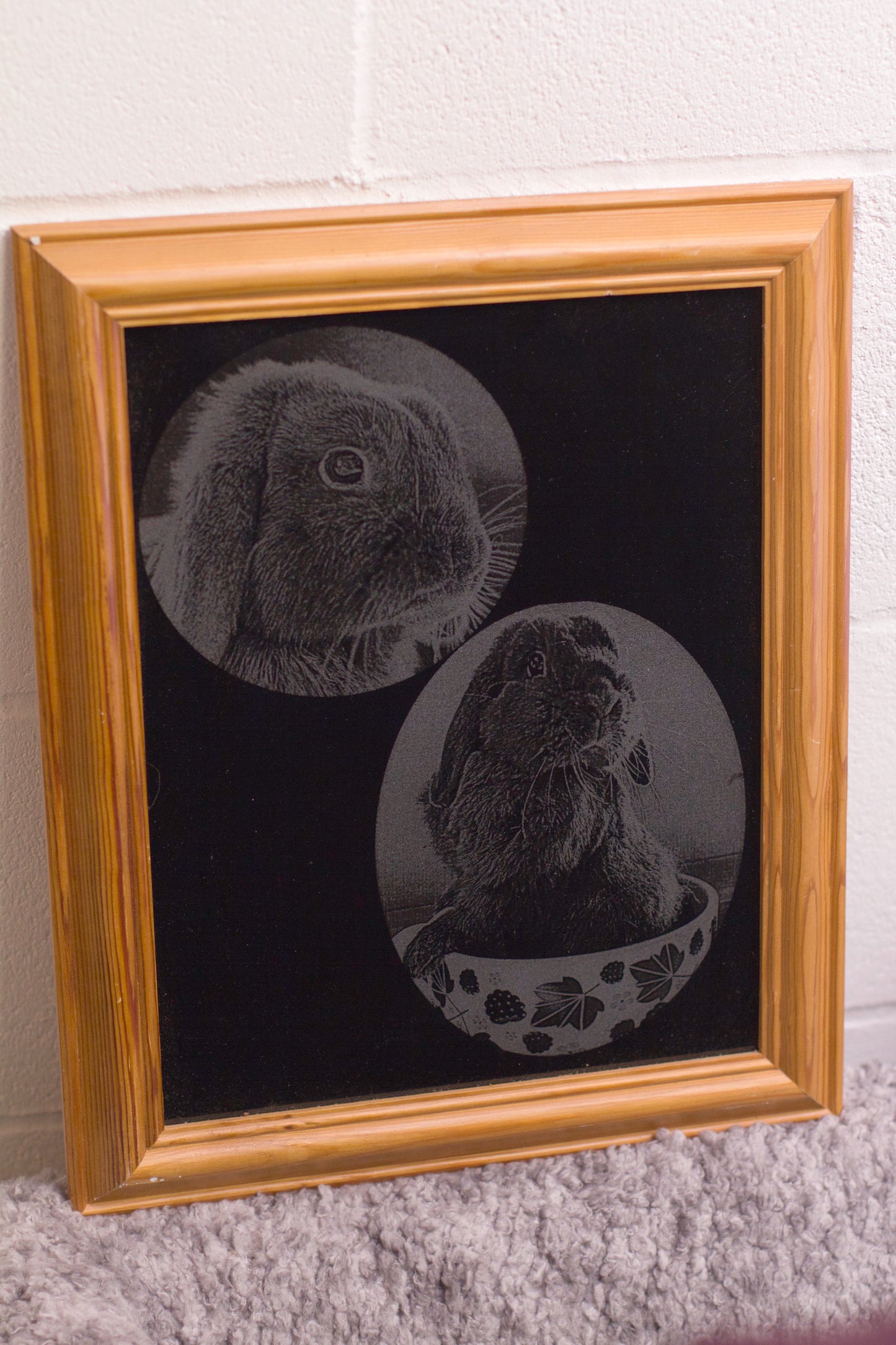 Custom Glass Etched Rabbit Portraits