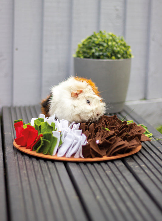 Christmas Pudding Snuffle Mat