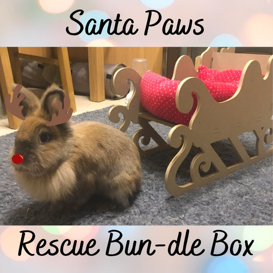 Santa Paws Rescue Bun-dle Box