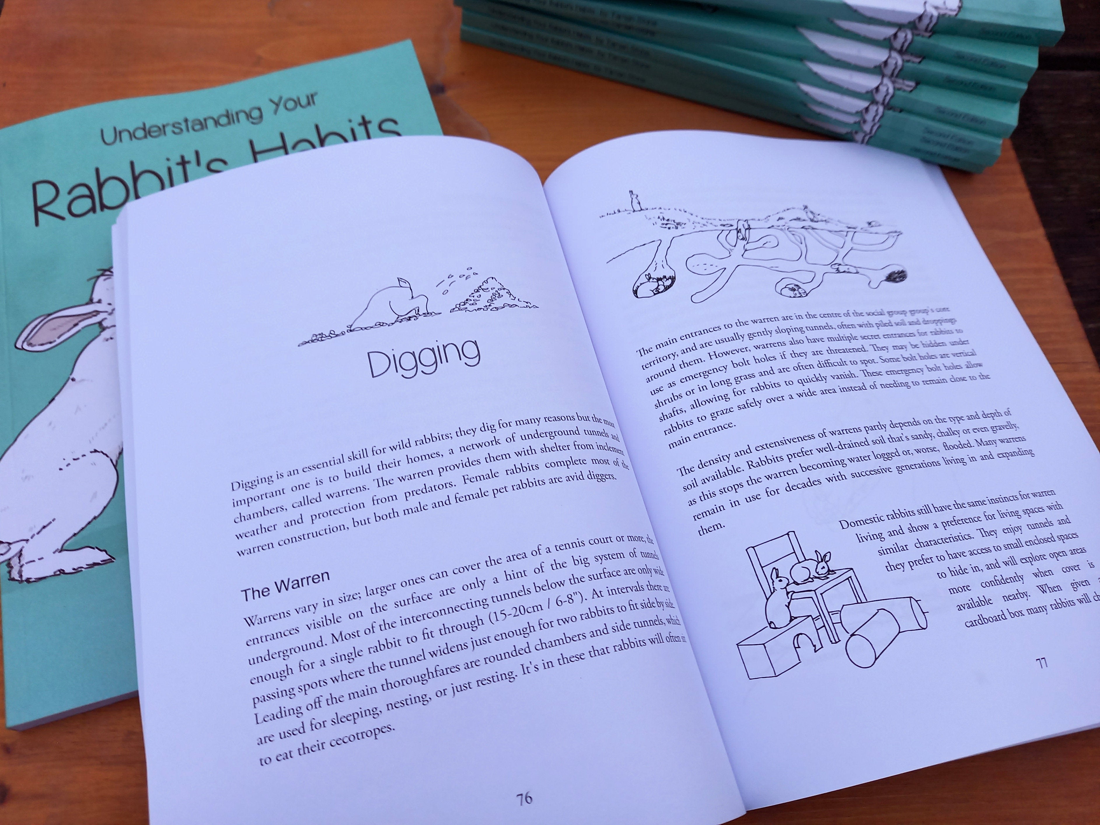 Understanding Your Rabbit's Habits | Book – Rabbit Retail