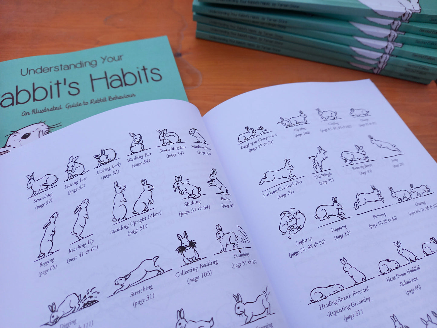 Understanding Your Rabbit's Habits | Book