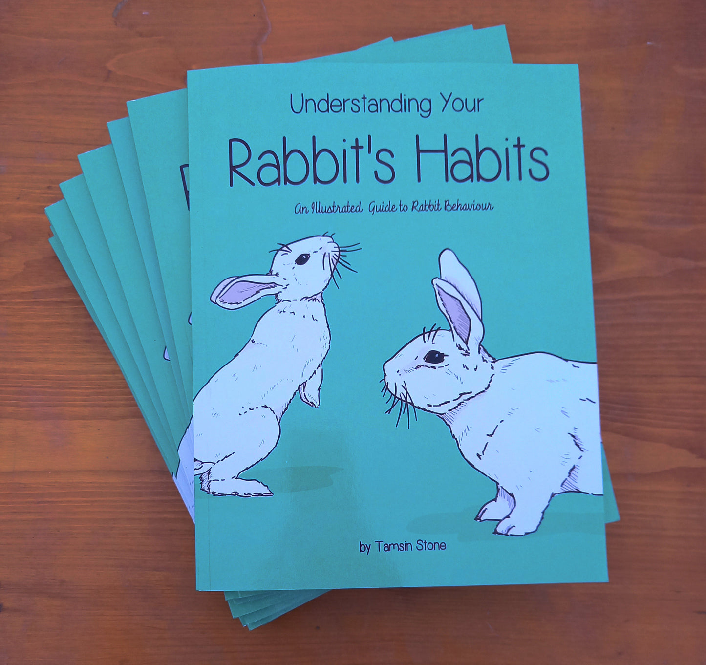 Understanding Your Rabbit's Habits | Book