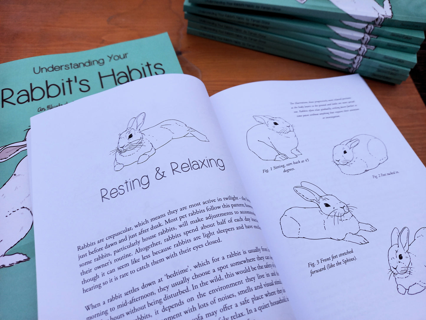 Understanding Your Rabbit's Habits | Book