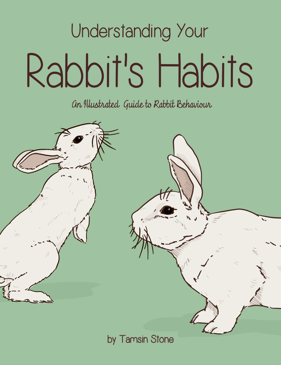 Understanding Your Rabbit's Habits | Book