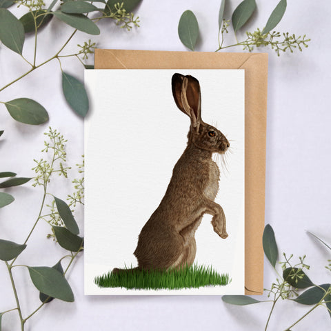 Dandelion Hare Greeting Card