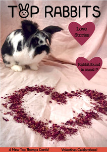 Top Rabbits Magazine - Issue 3 - Feb 2024
