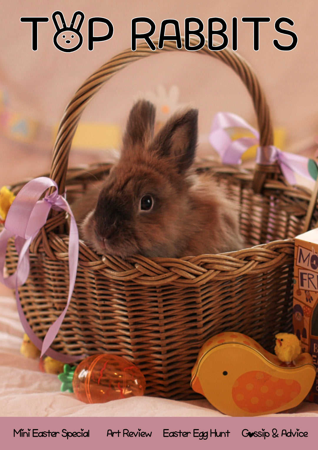 Top Rabbits Magazine - Issue 4 - March 2024 – Rabbit Retail
