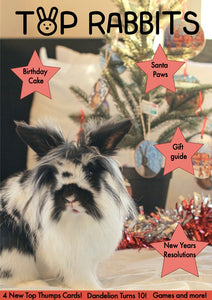 Top Rabbits Magazine - Issue 2 - Dec 2023