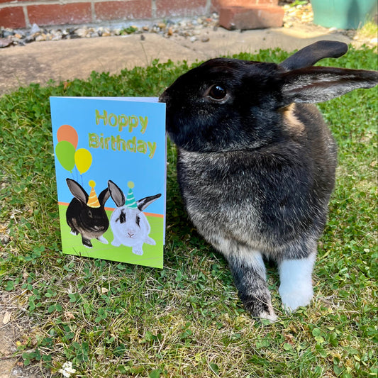 Rabbit standing next to a 'Happy Birthday' card with rabbit illustrations on grass.