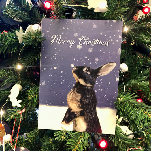 A Snowflake Kiss Rabbit | Christmas Card