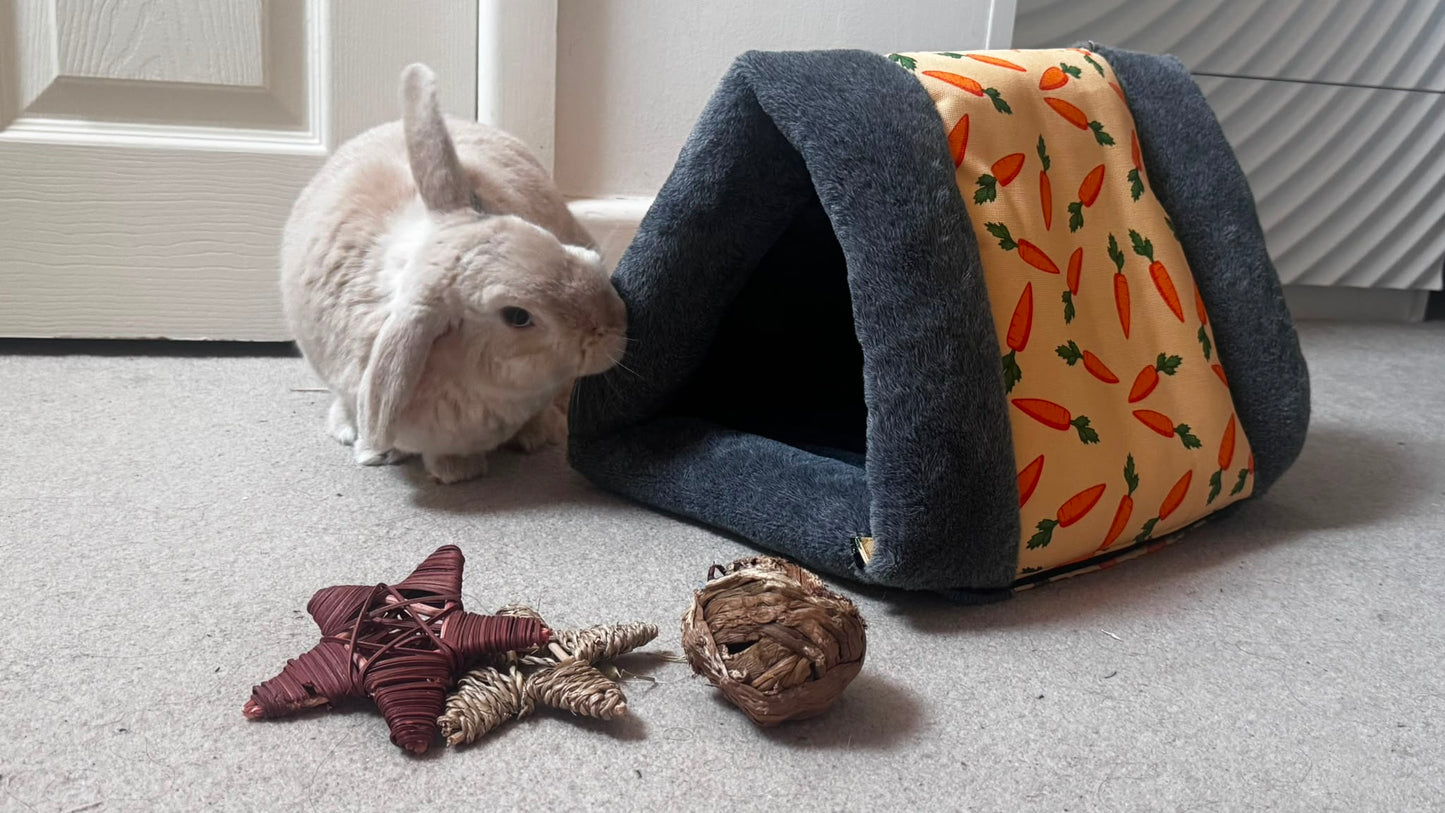 Rosewood | Carrot Snuggle 'n' Sleep Tunnel