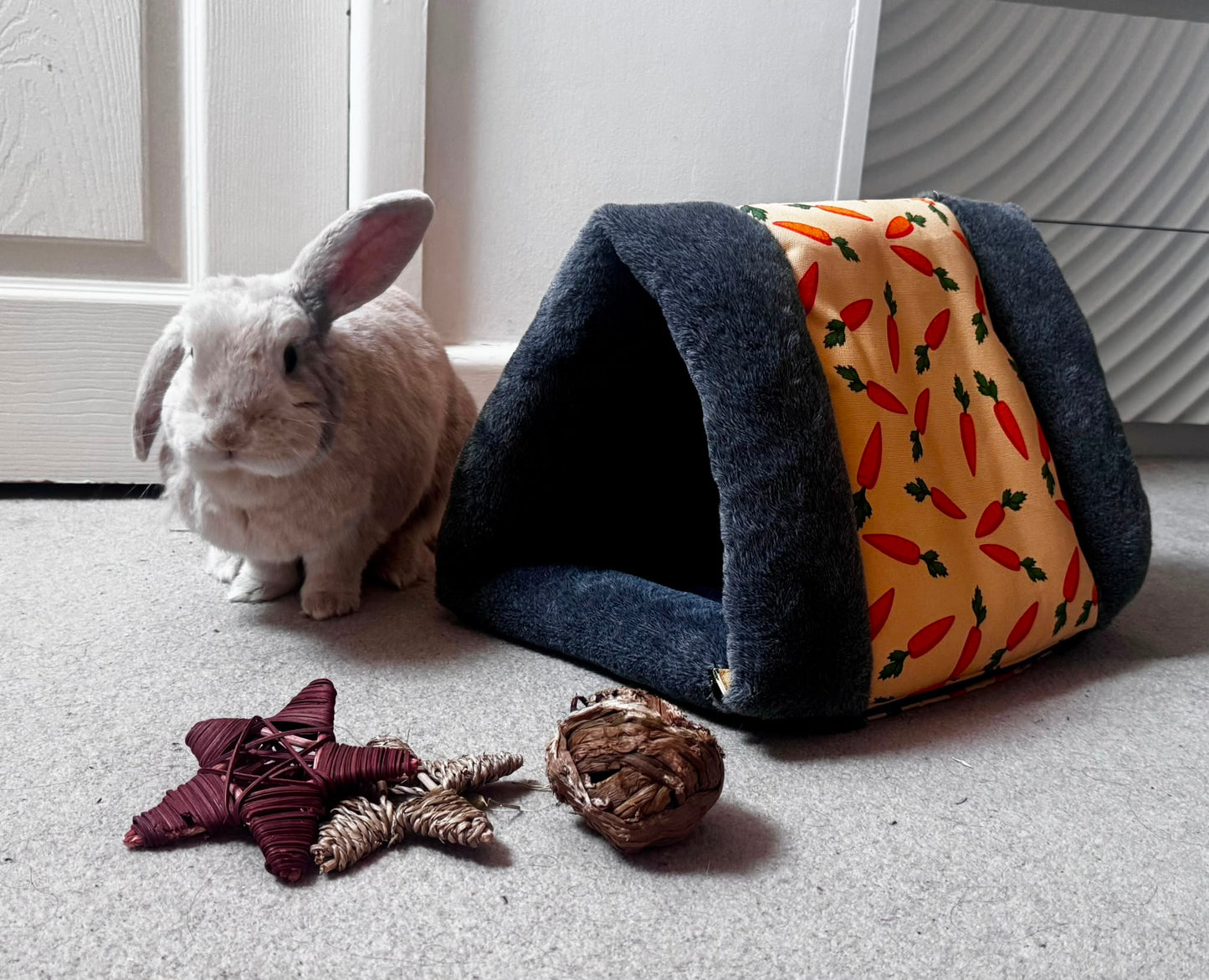 Rosewood | Carrot Snuggle 'n' Sleep Tunnel