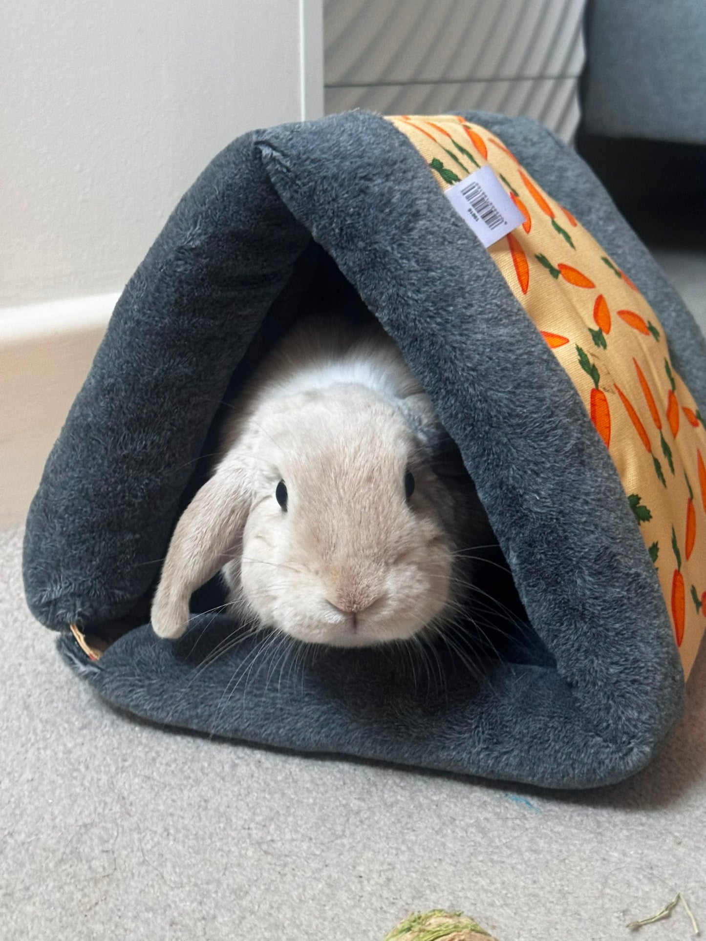 Rosewood | Carrot Snuggle 'n' Sleep Tunnel